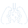 Lungs icon